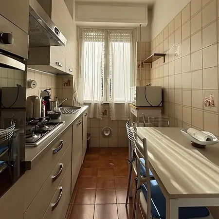 Domus Iulia *